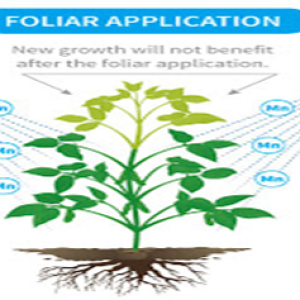 foliarapplication