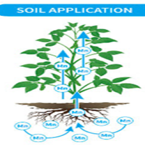 soliapplication